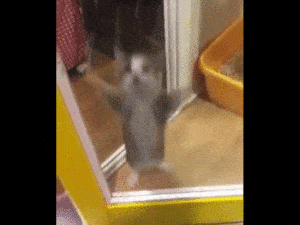 ezgif 2326496496 Moi, le jour de la sortie de Jessica Jones