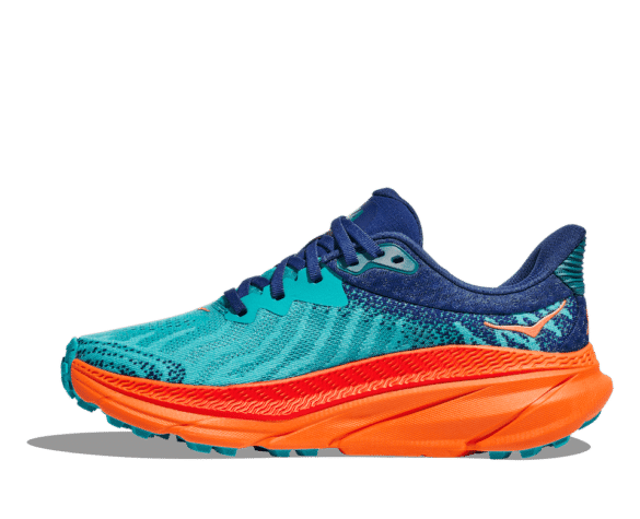 1134497-CVOR_8 1134497 CVOR 8