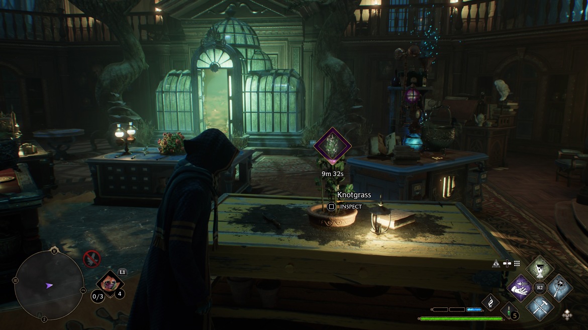 1677031479 999 Ou trouver un brin de Knotgrass dans lheritage de Poudlard 1677031479 999 Ou trouver un brin de Knotgrass dans lheritage de Poudlard