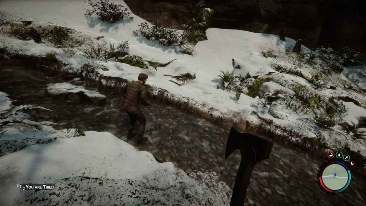 1677258370 10 Comment obtenir du poisson dans Sons of the Forest 1677258370 10 Comment obtenir du poisson dans Sons of the Forest