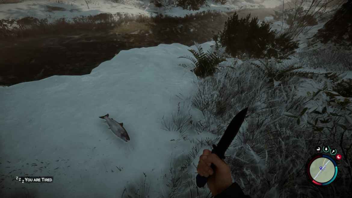 1677258371 270 Comment obtenir du poisson dans Sons of the Forest 1677258371 270 Comment obtenir du poisson dans Sons of the Forest