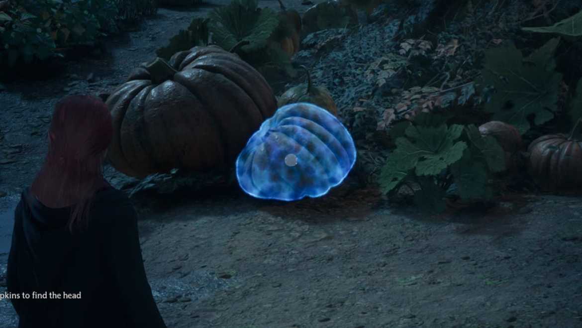 Comment trouver la tete de Jackdaw dans lheritage de Poudlard Mini-jeu de citrouille à tête de choucas de Hogwarts Legacy