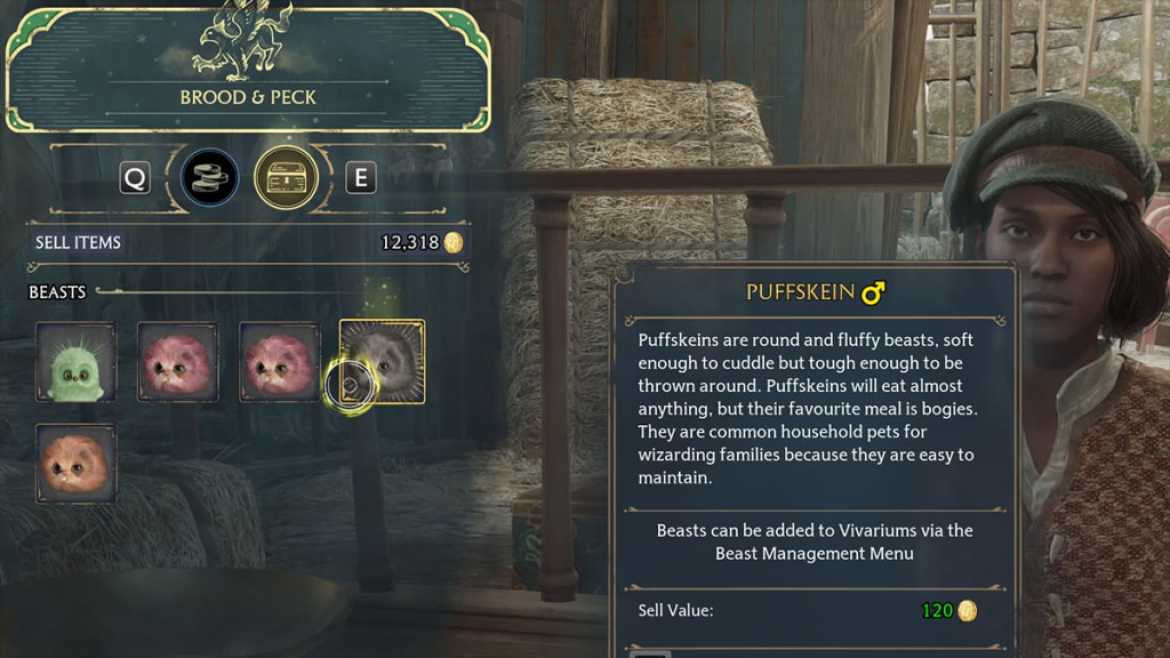 1680274712 615 Comment gagner de largent facilement dans lheritage de Poudlard La bête de Poudlard se vend pour de l'argent