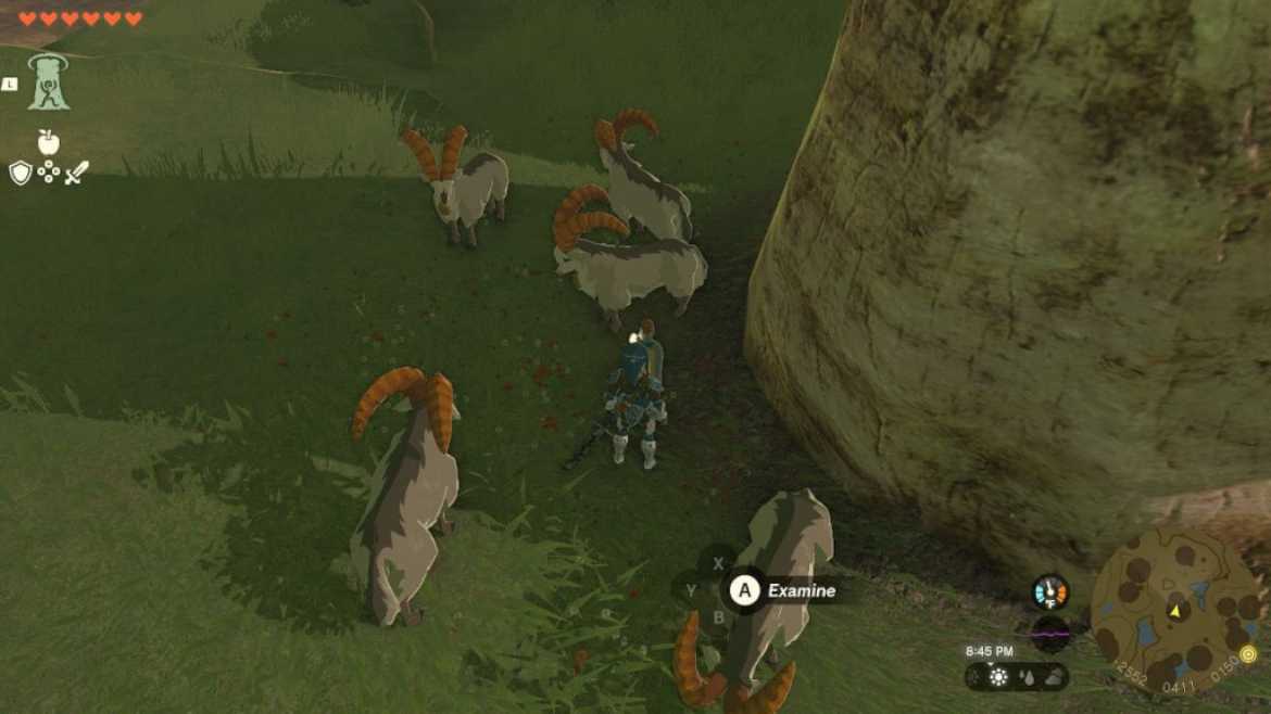 1684591049 98 Tears of the Kingdom White Goats Gone Missing Quest Guide Emplacement de la chèvre et de la bouteille TOTK pour Quest