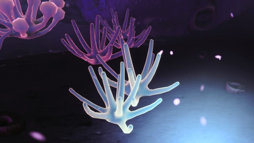 1686159301 388 Tous les emplacements de la flore et des plantes des 1686159301 388 Tous les emplacements de la flore et des plantes des