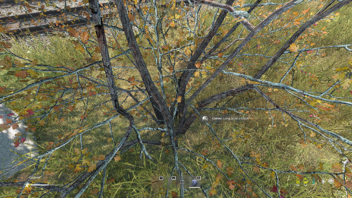 1689103488 898 Comment faire une attelle dans DayZ 1689103488 898 Comment faire une attelle dans DayZ