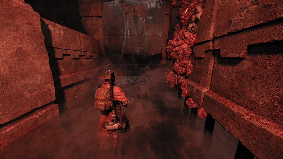 1690045308 915 Comment completer les puzzles Lament dans Remnant 2 Remnant 2 La cascade des lamentations