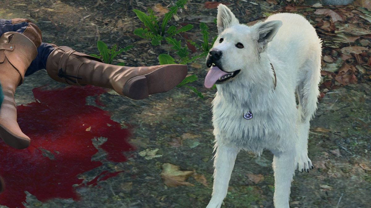 Comment parler avec les animaux a Baldurs Gate 3 Comment parler avec les animaux a Baldurs Gate 3