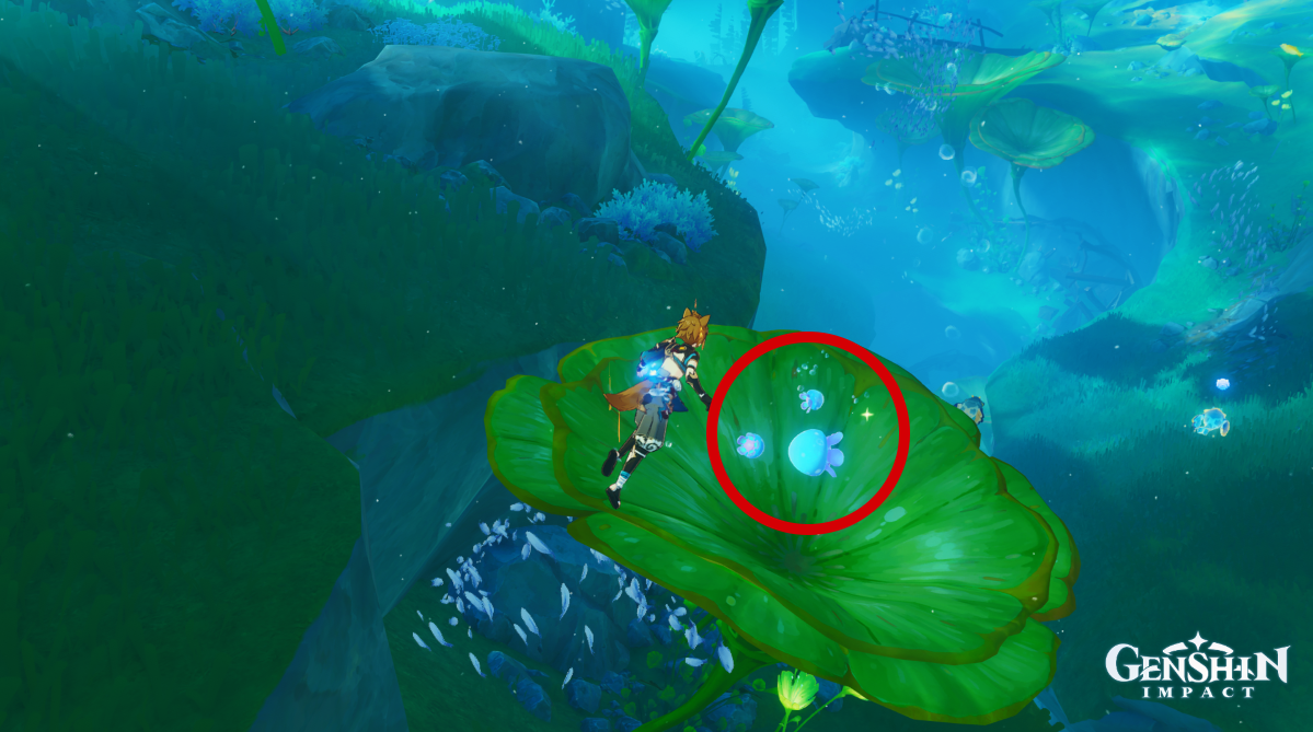 1693679496 294 Ou trouver Tidalga a Genshin Impact Emplacements de Tidalga dans les feuilles de Genshin Impact