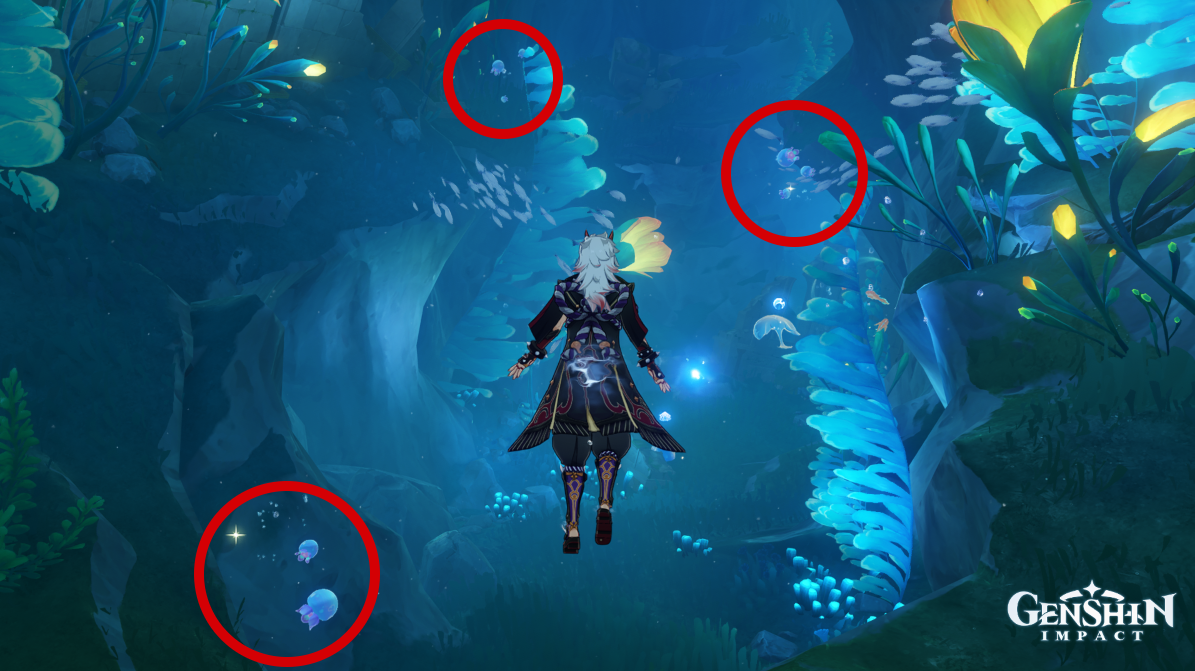 1693679499 568 Ou trouver Tidalga a Genshin Impact Emplacements de Tidalga à l’Institut de philosophie naturelle de Genshin Impact