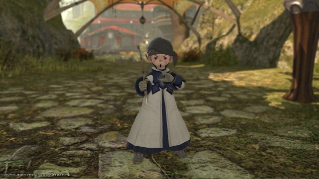 1694793099 375 Quel role devriez vous choisir dans Final Fantasy XIV – Guide 1694793099 375 Quel role devriez vous choisir dans Final Fantasy XIV – Guide
