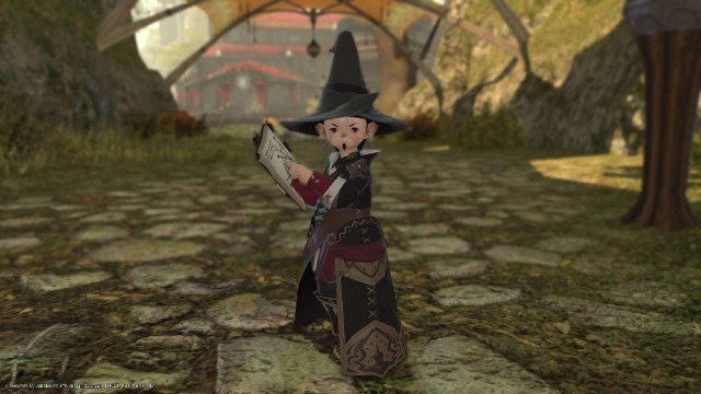 1694793099 464 Quel role devriez vous choisir dans Final Fantasy XIV – Guide 1694793099 464 Quel role devriez vous choisir dans Final Fantasy XIV – Guide