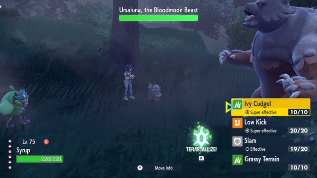 1694806855 21 Comment obtenir Bloodmoon Ursaluna dans Pokemon Scarlet amp Violet The Une capture d’écran de l’Ogerpon du joueur combattant Bloodmoon Ursaluna avec Perrin en arrière-plan dans Pokémon Écarlate et Violet: The Teal Mask.