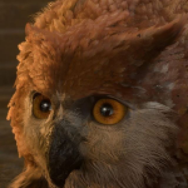 Baldurs Gate 3 toutes les quetes sensibles au temps Baldurs Gate 3 toutes les quetes sensibles au temps