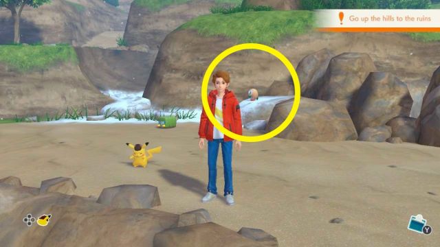 1696569060 576 Le retour du detective Pikachu Comment trouver un Pokemon aile 1696569060 576 Le retour du detective Pikachu Comment trouver un Pokemon aile