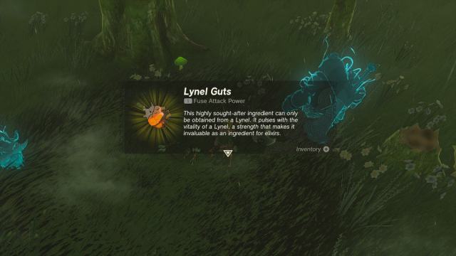 Comment obtenir Lynel Guts dans Tears of the Kingdom TotK Lynel prend du cran dans Tears of the Kingdom