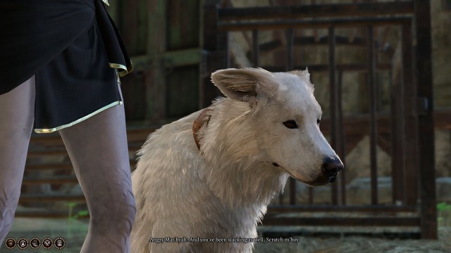 Comment trouver la famille de Scratch a Baldurs Gate 3 Comment trouver la famille de Scratch a Baldurs Gate 3