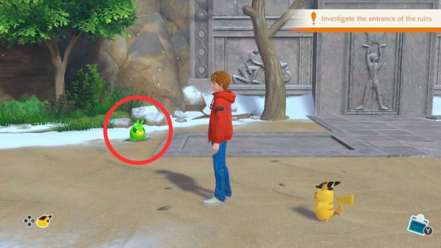 Comment trouver le Swadloon disparu dans les ruines du sud Comment trouver le Swadloon disparu dans les ruines du sud