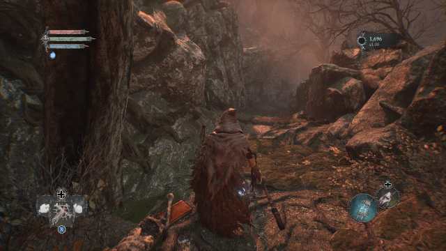 Que fait la peau ecorchee dans Lords of the Fallen Que fait la peau ecorchee dans Lords of the Fallen