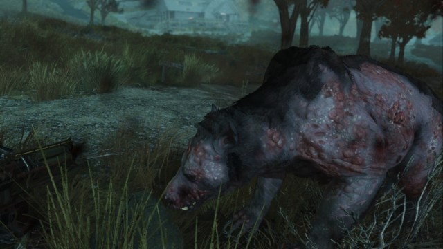 1700580298 338 Ou trouver les lieux de Yao Guai dans Fallout 76 Fallout 76 Yao Guai