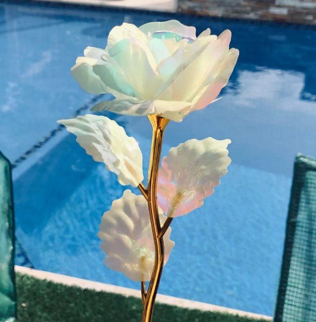 Les meilleurs cadeaux de Noel a offrir a votre fan Les meilleurs cadeaux de Noel a offrir a votre fan