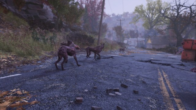 Ou trouver des chiens dans Fallout 76 Fallout 76 Bâtards