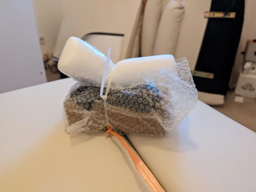 PXL 20231121 150812259.RAW 01.COVER PXL 20231121 150812259.RAW 01.COVER