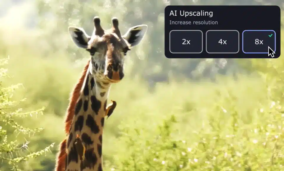 movavi video converter movavi video converter