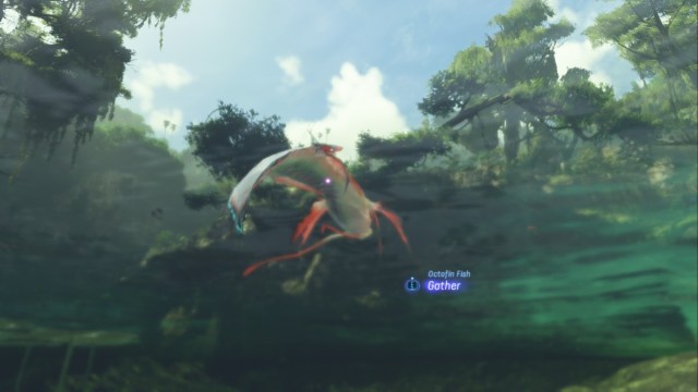 1701976957 936 Comment pecher dans Avatar Frontiers of Pandora 1701976957 936 Comment pecher dans Avatar Frontiers of Pandora