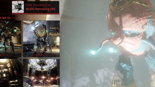 Comment obtenir Qorvex dans Warframe Comment obtenir Qorvex dans Warframe