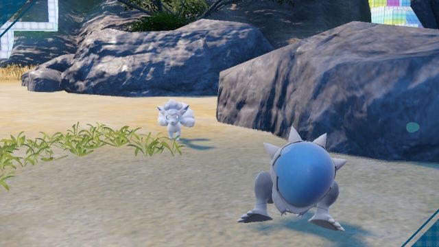 Tous les Pokemon exclusifs de la version Indigo Disk dans Tous les Pokemon exclusifs de la version Indigo Disk dans