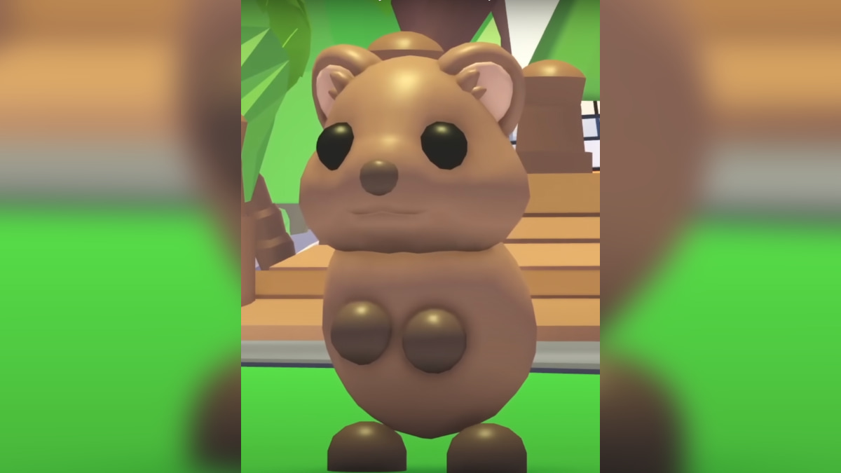 1704392837 629 Roblox Tous les animaux de compagnie ajoutes avec Adopt 1704392837 629 Roblox Tous les animaux de compagnie ajoutes avec Adopt