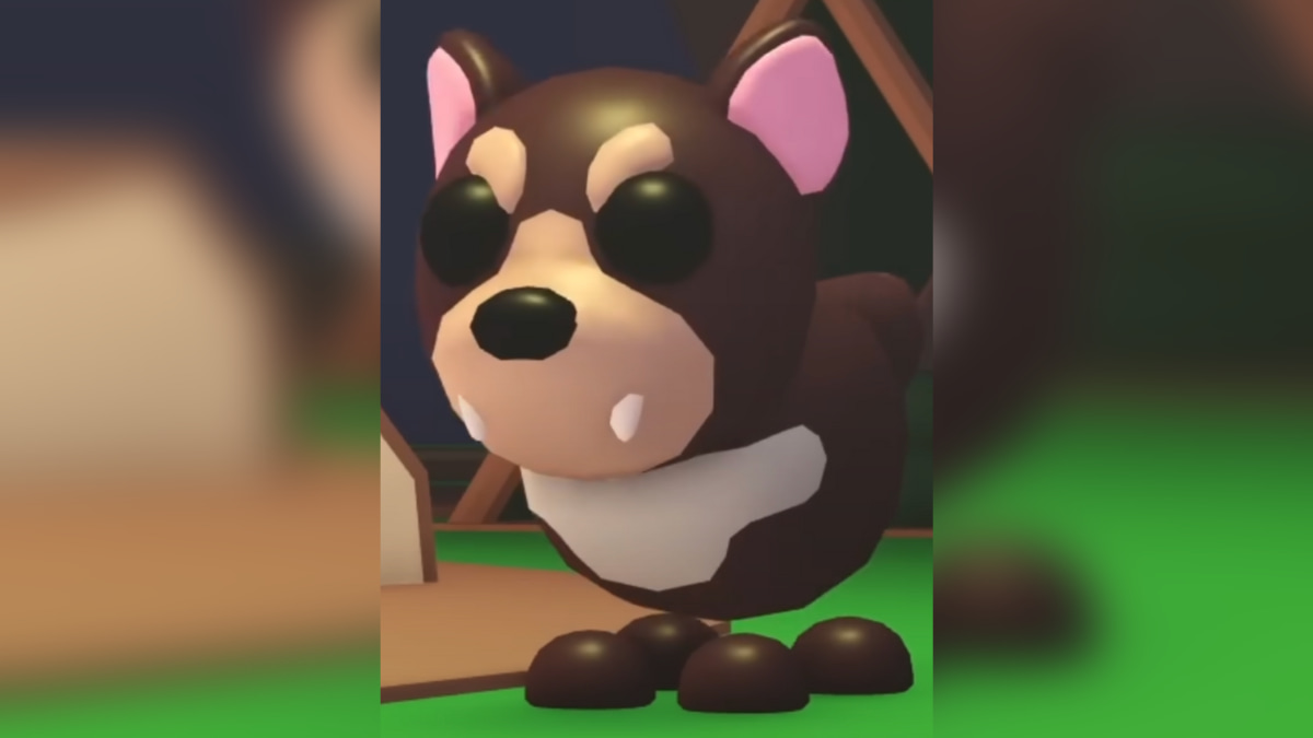 1704392837 827 Roblox Tous les animaux de compagnie ajoutes avec Adopt 1704392837 827 Roblox Tous les animaux de compagnie ajoutes avec Adopt