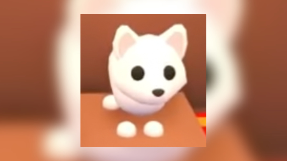 1704832812 130 Tous les animaux de Noel dans Adopt Me 2019 present – 1704832812 130 Tous les animaux de Noel dans Adopt Me 2019 present –