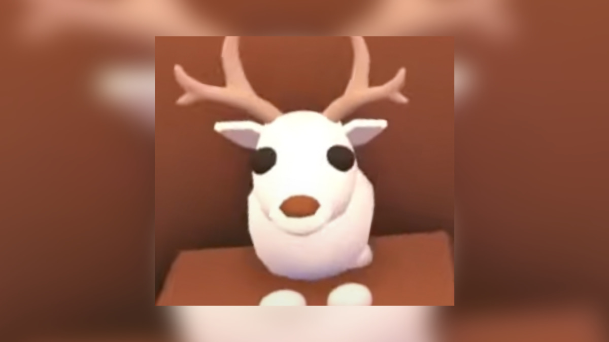 1704832813 926 Tous les animaux de Noel dans Adopt Me 2019 present – 1704832813 926 Tous les animaux de Noel dans Adopt Me 2019 present –