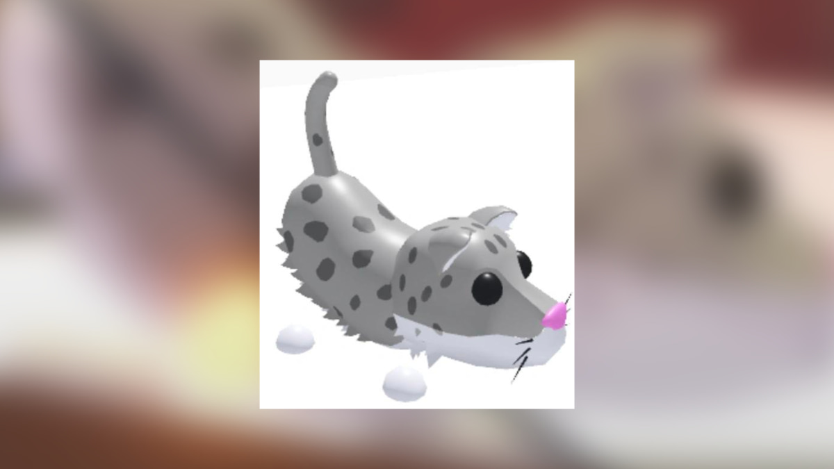 1704832815 479 Tous les animaux de Noel dans Adopt Me 2019 present – 1704832815 479 Tous les animaux de Noel dans Adopt Me 2019 present –