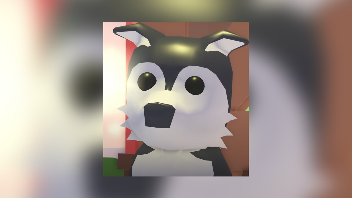 1704832815 899 Tous les animaux de Noel dans Adopt Me 2019 present – 1704832815 899 Tous les animaux de Noel dans Adopt Me 2019 present –