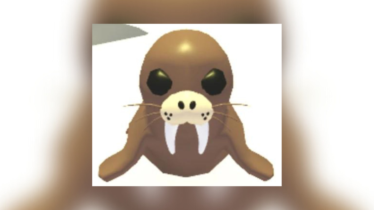1704832815 962 Tous les animaux de Noel dans Adopt Me 2019 present – 1704832815 962 Tous les animaux de Noel dans Adopt Me 2019 present –