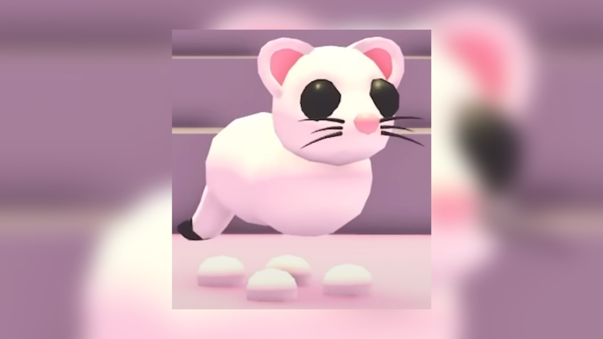 1704832816 231 Tous les animaux de Noel dans Adopt Me 2019 present – 1704832816 231 Tous les animaux de Noel dans Adopt Me 2019 present –