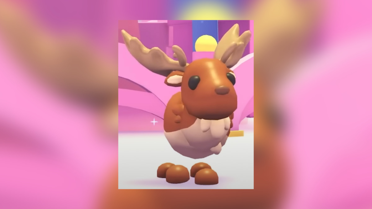 1704832816 746 Tous les animaux de Noel dans Adopt Me 2019 present – 1704832816 746 Tous les animaux de Noel dans Adopt Me 2019 present –