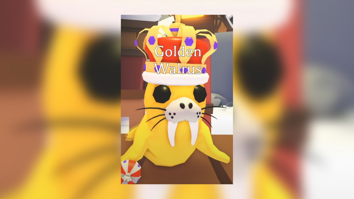 1704832816 9 Tous les animaux de Noel dans Adopt Me 2019 present – 1704832816 9 Tous les animaux de Noel dans Adopt Me 2019 present –