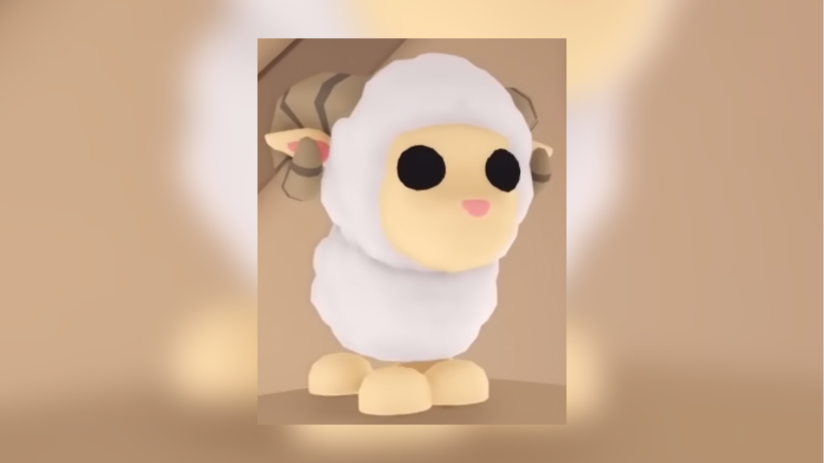 1704832817 83 Tous les animaux de Noel dans Adopt Me 2019 present – 1704832817 83 Tous les animaux de Noel dans Adopt Me 2019 present –