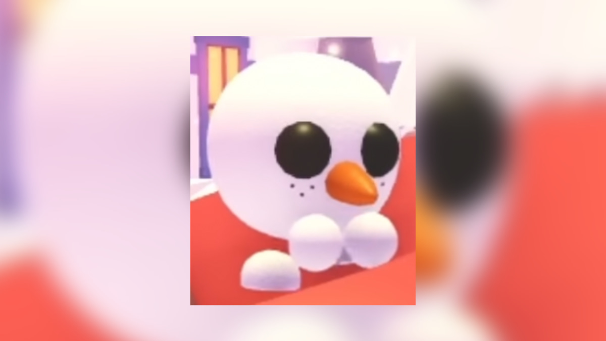 1704832817 898 Tous les animaux de Noel dans Adopt Me 2019 present – 1704832817 898 Tous les animaux de Noel dans Adopt Me 2019 present –