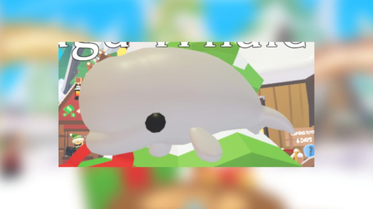 1704832818 909 Tous les animaux de Noel dans Adopt Me 2019 present – 1704832818 909 Tous les animaux de Noel dans Adopt Me 2019 present –