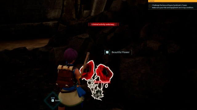 1705945558 424 Ou trouver de belles fleurs a Palworld 1705945558 424 Ou trouver de belles fleurs a Palworld