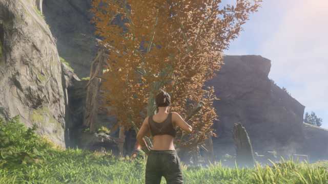 Comment obtenir de la resine dans Enshrouded Arbre en résine enveloppé