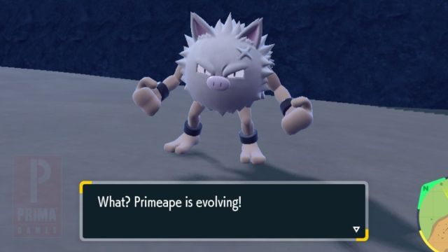 Quand Primeape apprend il Rage Fist dans Pokemon Scarlet et Violet Quand Primeape apprend il Rage Fist dans Pokemon Scarlet et Violet