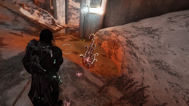 Warframe Ou cultiver Dracroot Warframe Ou cultiver Dracroot