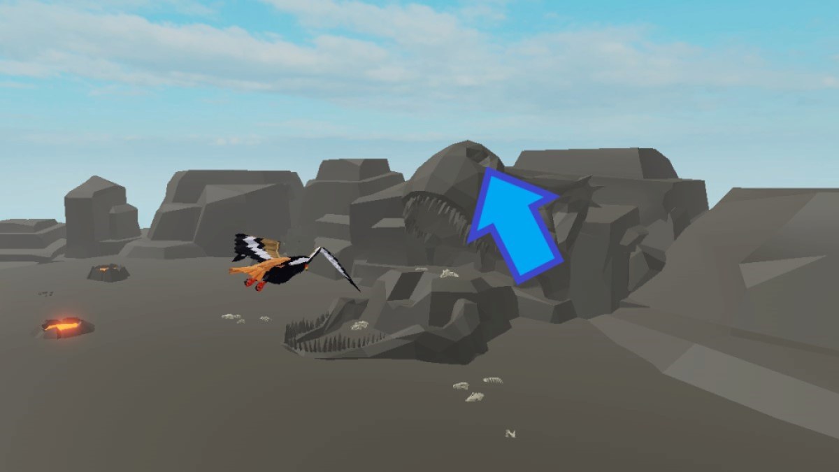 1707244689 561 Tous les emplacements dEagle Egg dans Animal Simulator 1707244689 561 Tous les emplacements dEagle Egg dans Animal Simulator