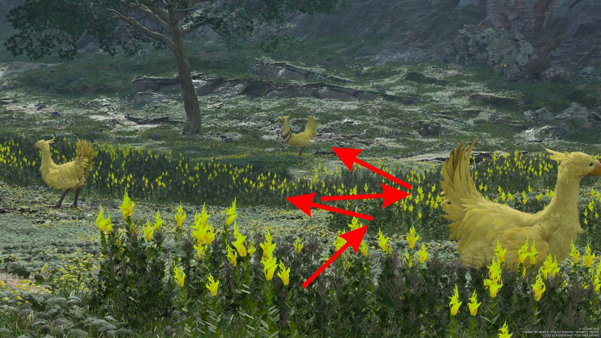 1709186493 886 Comment trouver et attraper Piko le chocobo dans Final Fantasy Capture d’écran de la capture de Piko dans Final Fantasy 7 Rebirth.